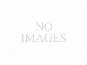 新視野測試